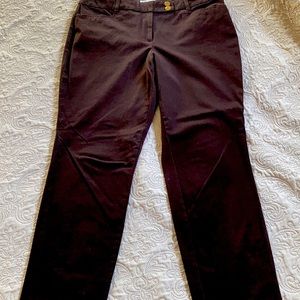 Classic Fit Charter Club Pant